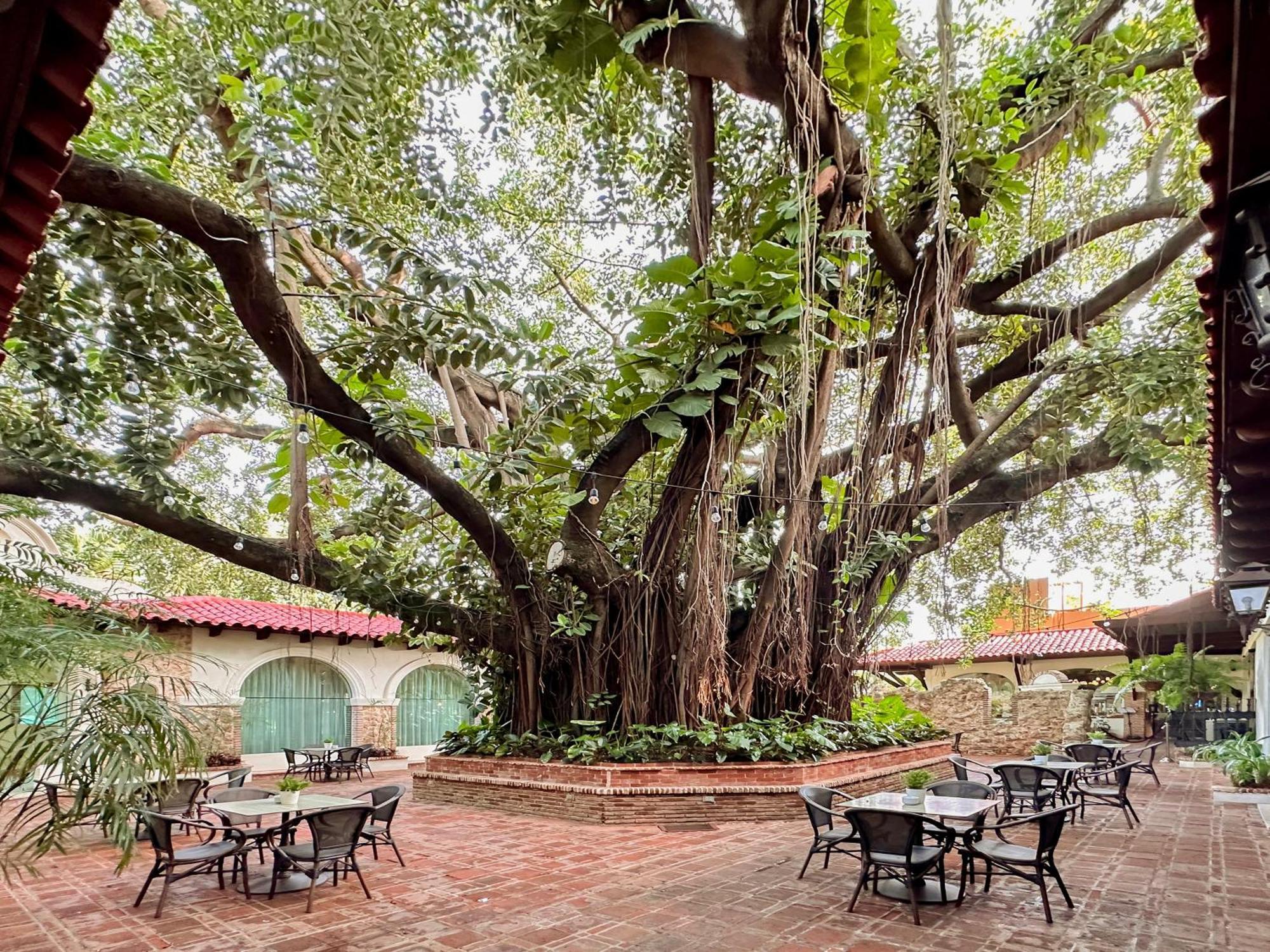 El Embajador, A Royal Hideaway Hotel Santo Domingo Ngoại thất bức ảnh The Banyan Tree at the Banyan Resort